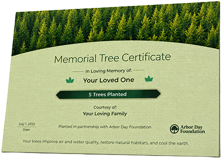 Plant Trees in Memory of Allene Bacon Foreman